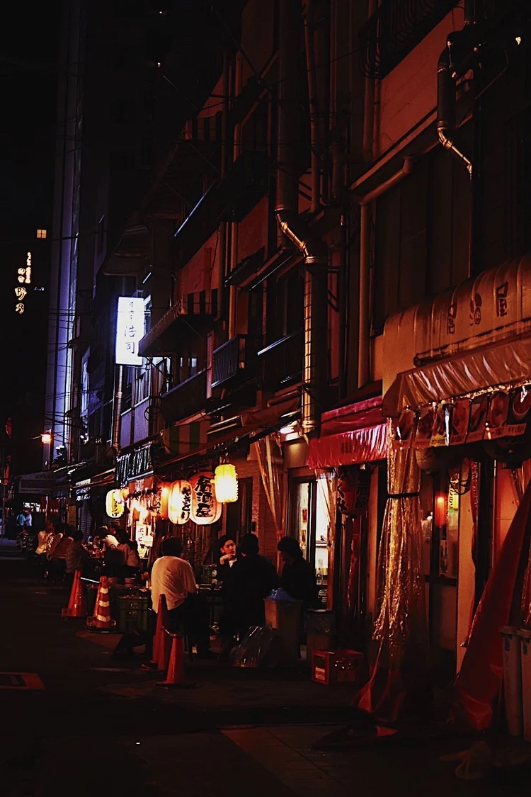 Izakaya alley after dark, Tokyo