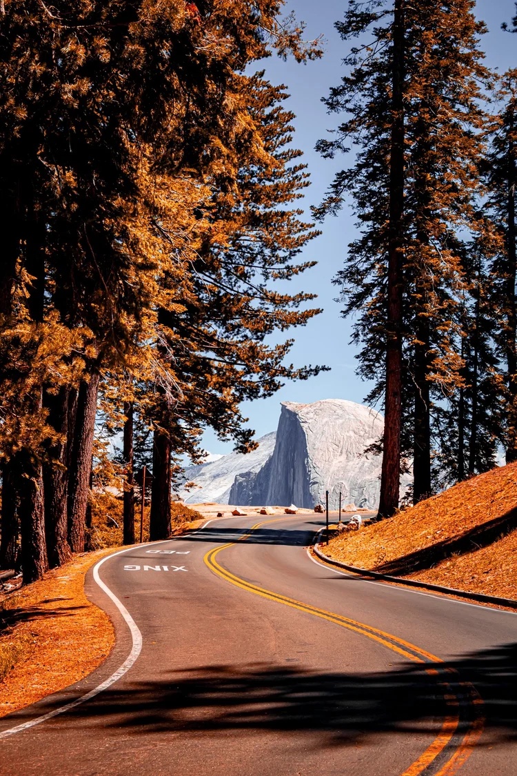 Half Dome from the Yosemite road